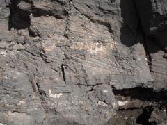 marine terrace cross-beds