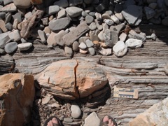 dolomite nodule 2