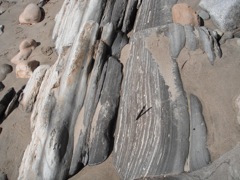 phosphoritic shale