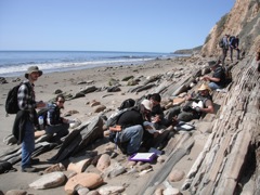Calcareous mud at Gaviota