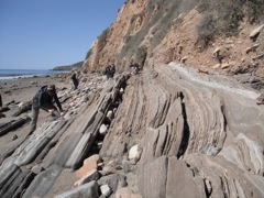 Gaviota Section