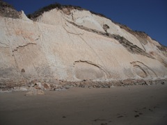 DSCF1073