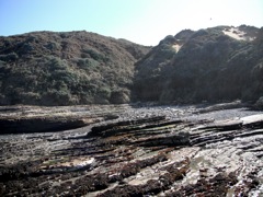 DSCF1087
