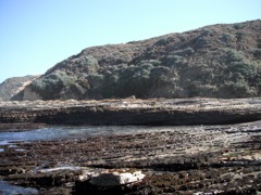 DSCF1088