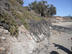 tar on cliff
