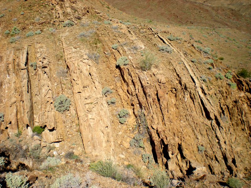 DSCN0395.JPG