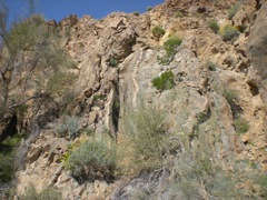 DSCN0402.JPG