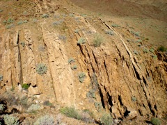 DSCN0395.JPG