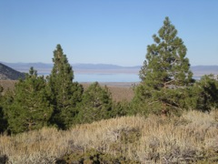 Mono Lake.JPG