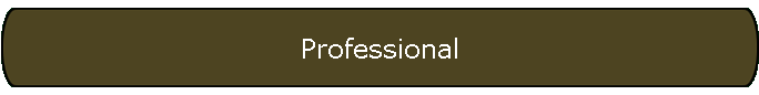 Professional