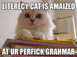 LITERECY CAT IS AMAIZED AT UR PERFICK GRAHMAR