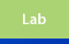 Lab