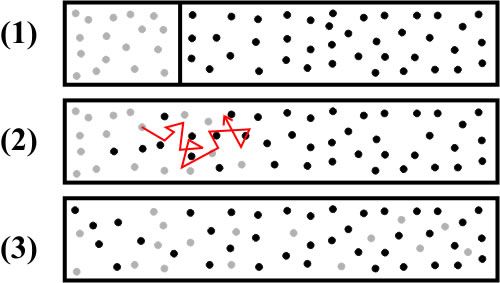 diffusion-wikipedia