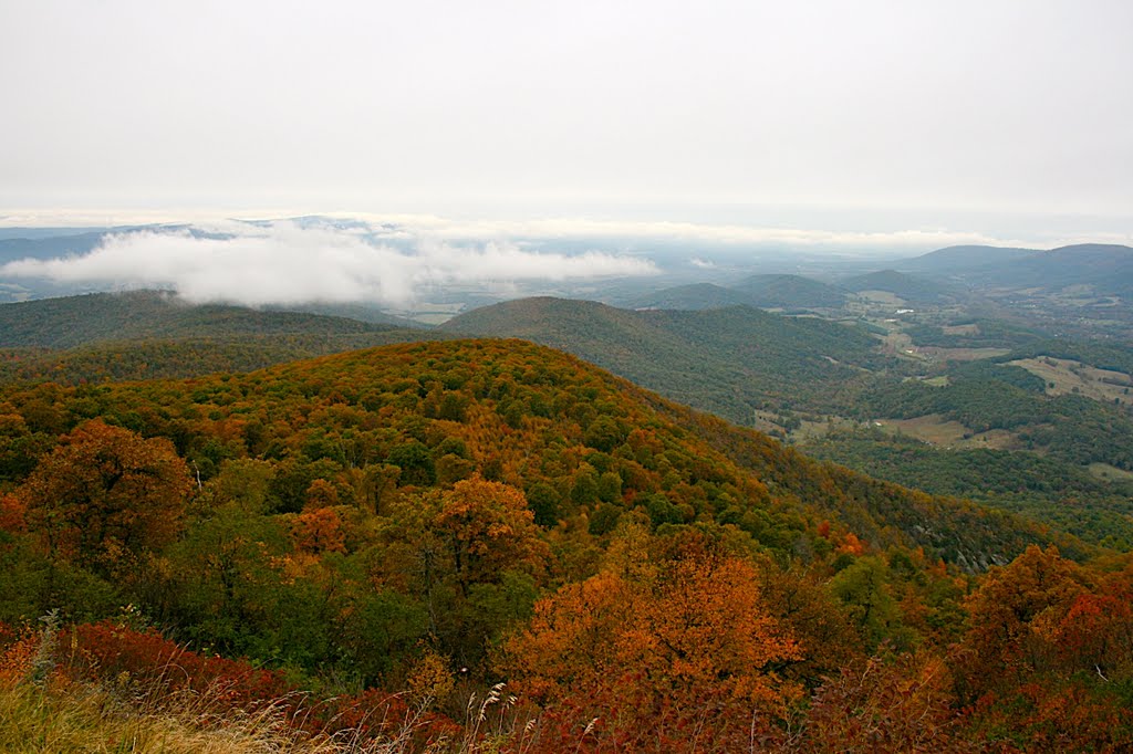 shenandoah