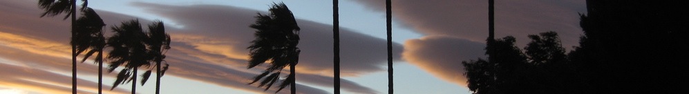banners-619 - 20