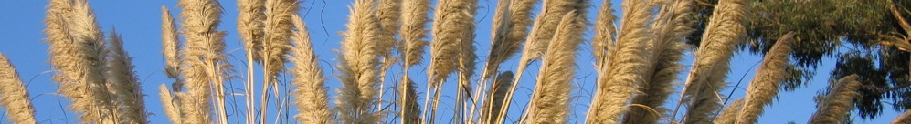banners-619 - 19