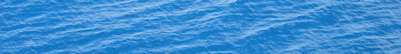banner - 1