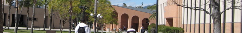 banner - 26
