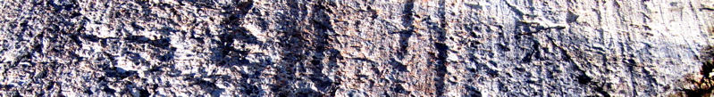 banner - 7