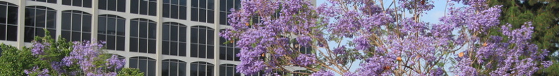 banner - 30
