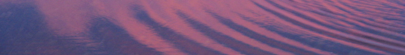 banner - 10