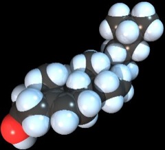 cholesterol