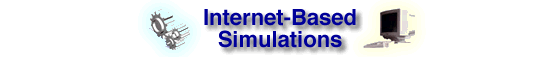 Computer Simulations