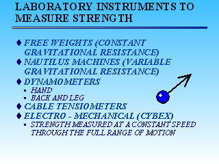 Slide 11