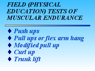 Slide 12