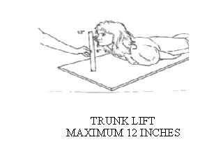 Slide 19