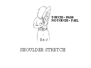 Slide 23