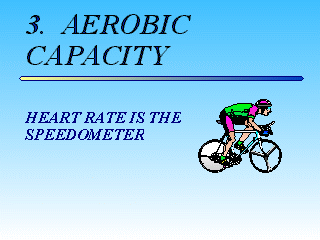 Slide 24