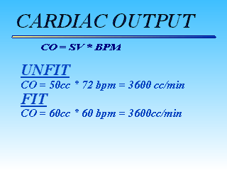 Slide 25