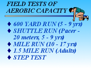 Slide 27