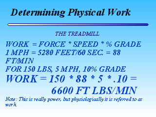 Slide 29