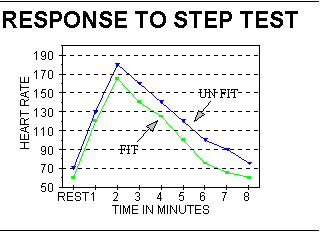 Slide 31