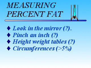 Slide 35
