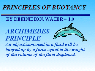 Slide 37