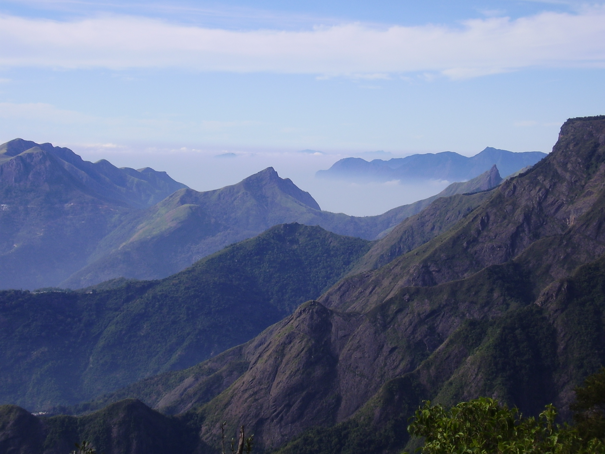 Palani Hills India