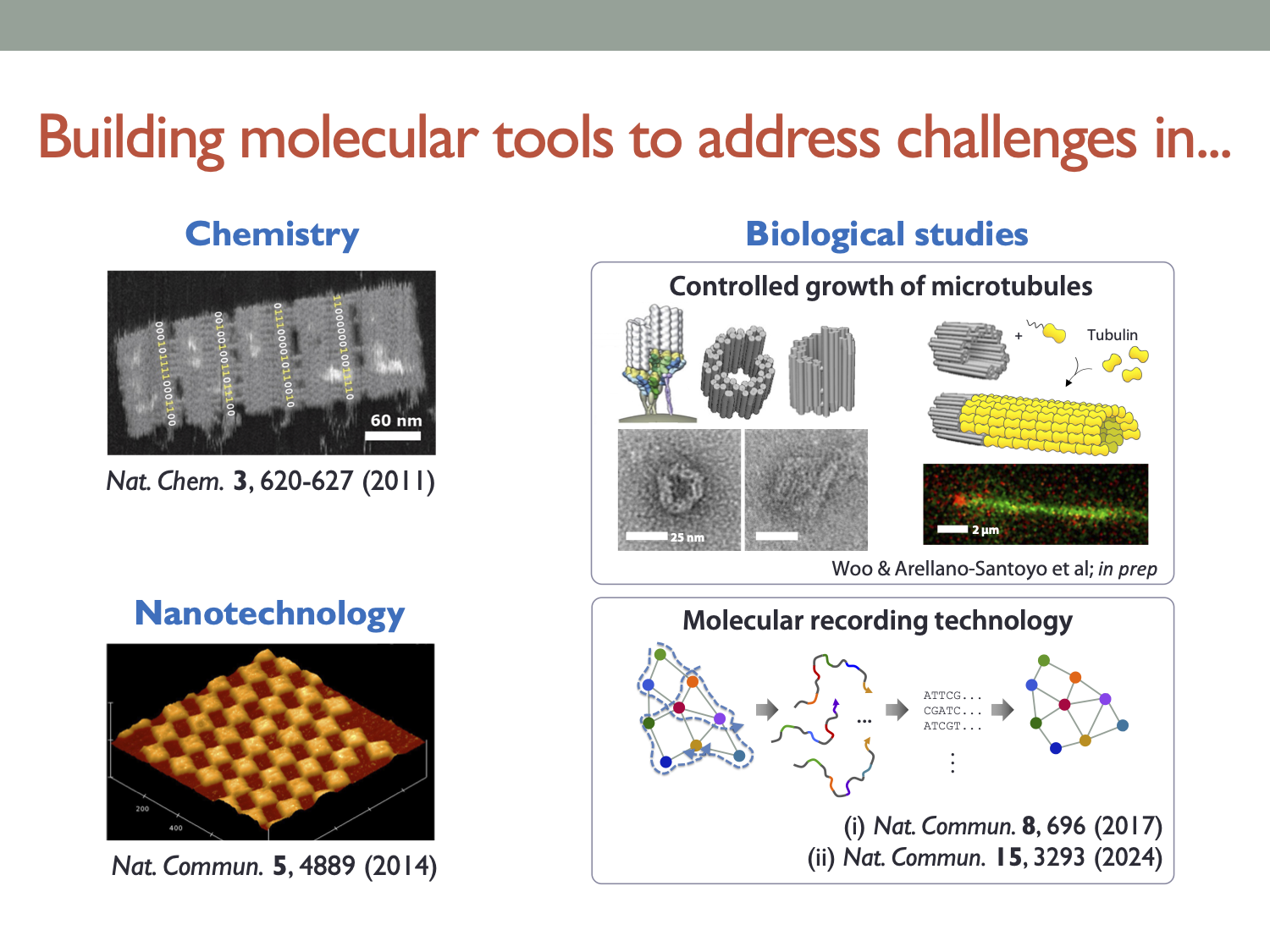 Research overview showing chemistry, nanotechnology, microtubule control, and molecular recording