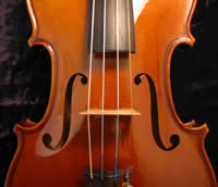 violin