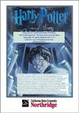 harry potter flyer