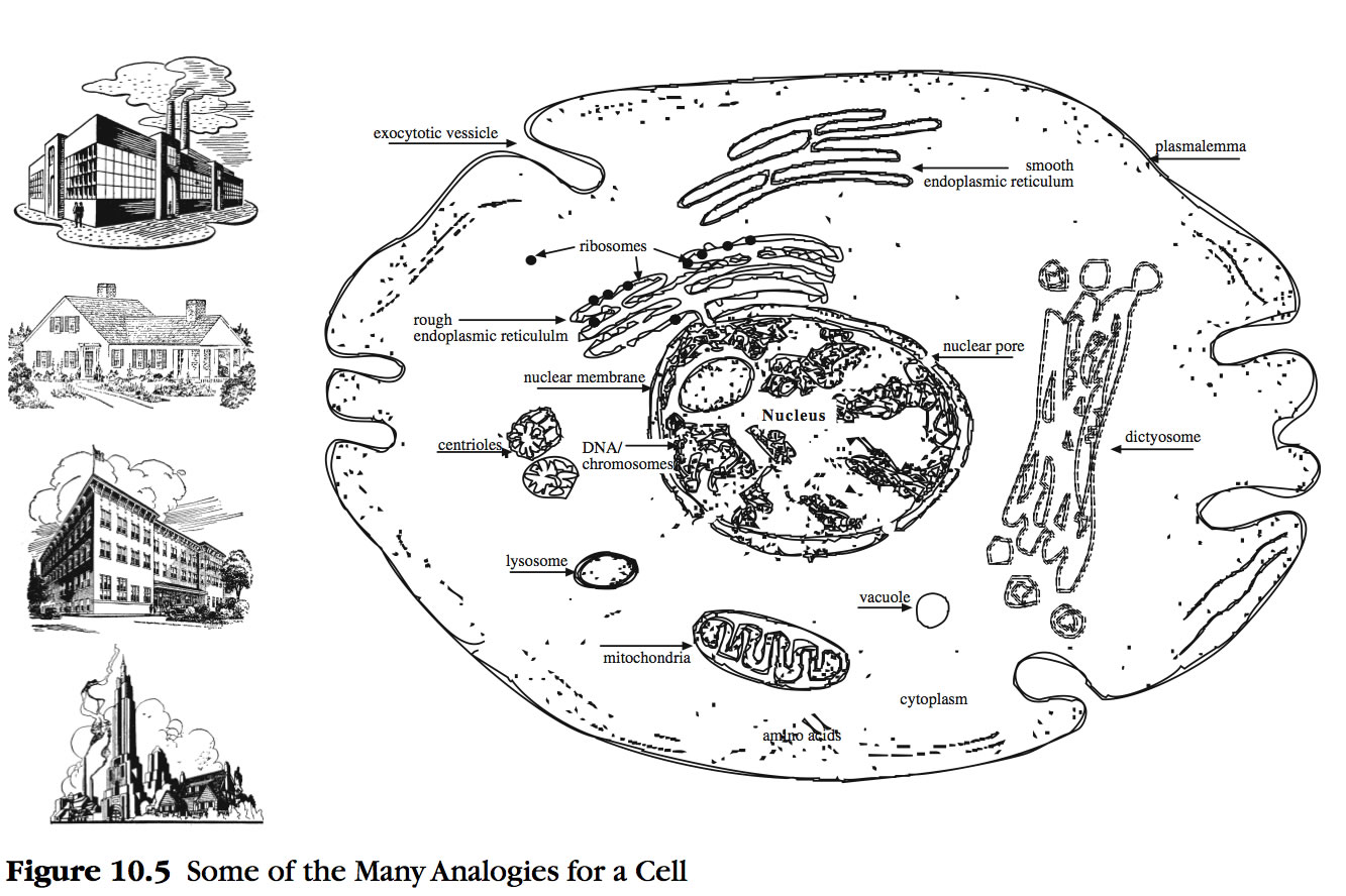 Featured image of post Easy Drawing Of Endoplasmic Reticulum Functions of endoplasmic reticulum er
