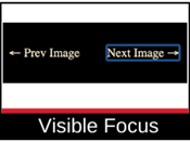 Web Criteria: Visual Focus