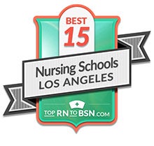 badge shows logo for rn to bsn dot com