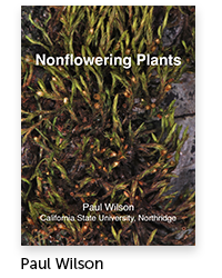  Nonflowering Plants Author: Paul Wilson, Biology