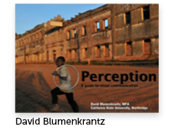 Perception: A Guide to Visual Communication Author: David Blumenkrantz, Journalism