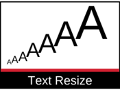 Web Criteria: Resizable Text