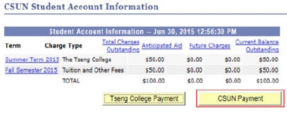 CSUN Payment page