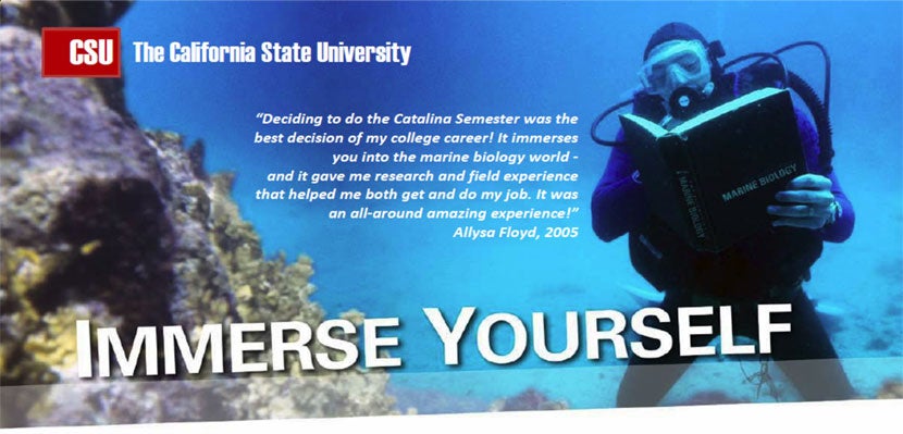 flyer. Immerse Yourself. "Deciding to do the Catalina Semester was the best decision of my college career! It immerses you into the marine biology world - and it gave me research and field experience that helped me both get and do my job. It was an all-round amazing experience!" Allysa Floyd, 2005.